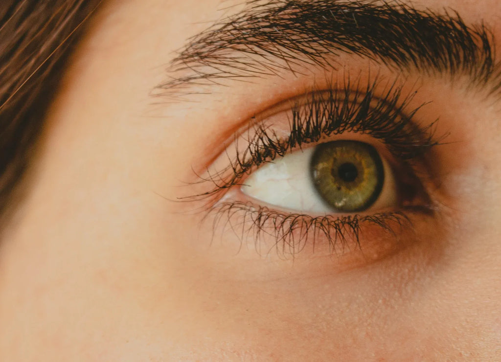 Eyelash Growth 