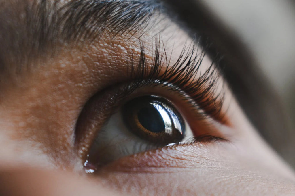 eyelashes